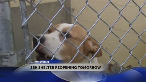 animal shelter blountville